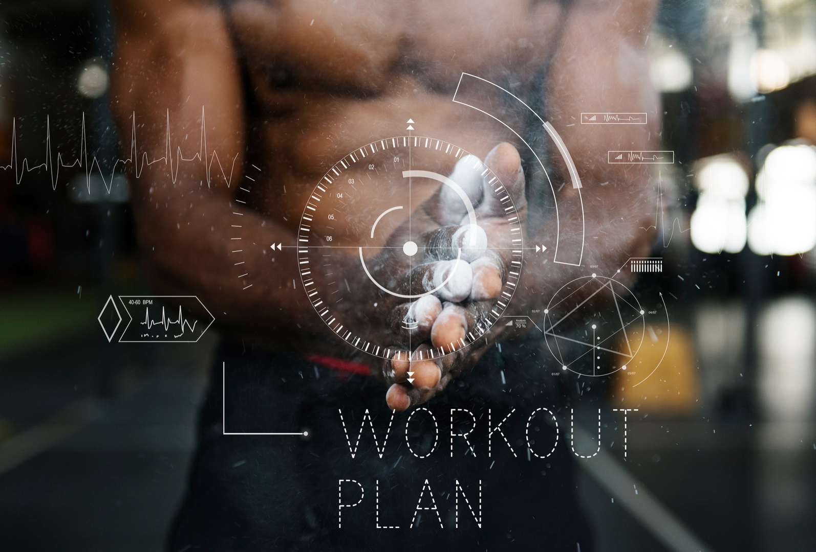 Wellness Journey
